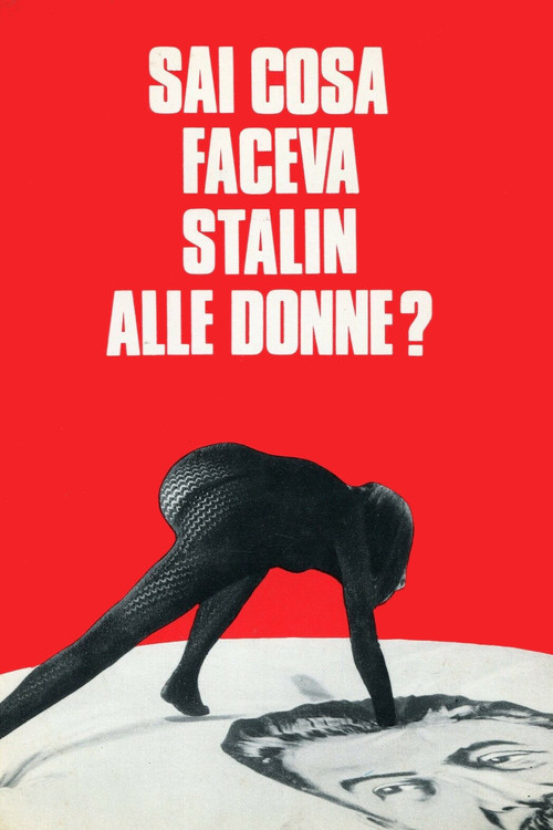 What Did Stalin Do to Women? (1969) poster