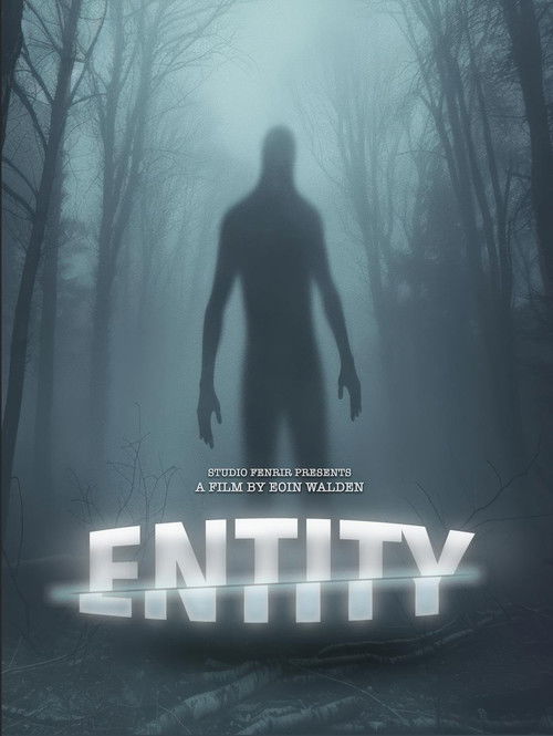 Entity (2025) poster