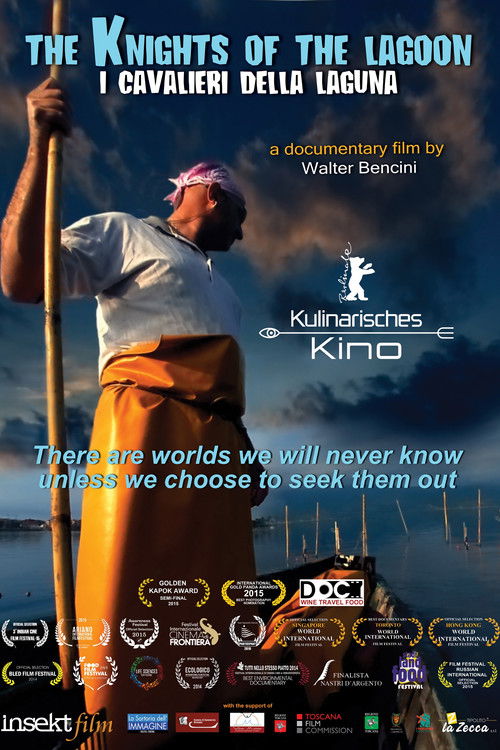 I cavalieri della laguna (2014) poster