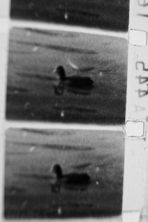 Mirror and Watch (2009) poster