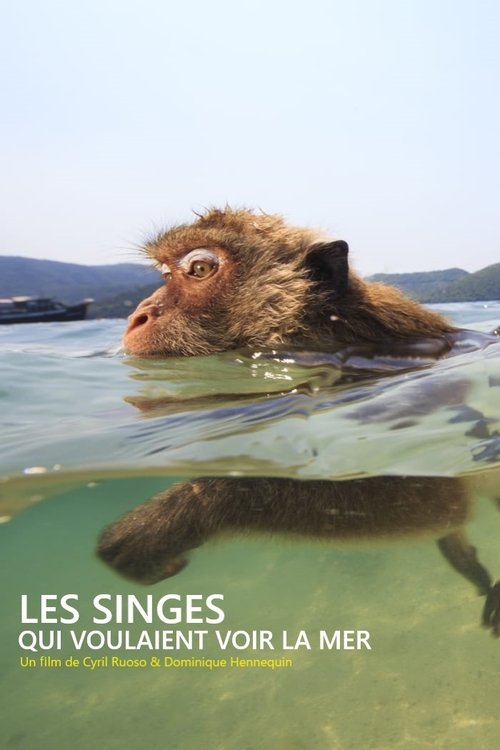 Les singes qui voulaient voir la mer (2020) poster