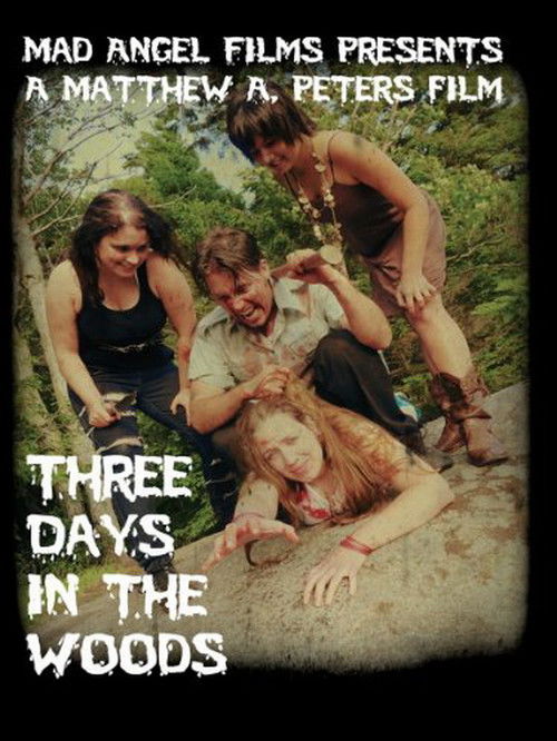 Three Days in the Woods (2010) poster