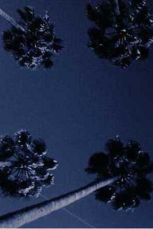 Valley Fever (1979) poster