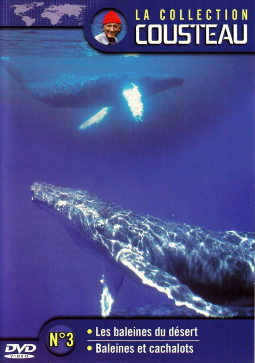 La collection Cousteau N°3 | Les baleines du désert | Baleines et cachalots (1969) poster