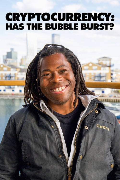 Cryptocurrency: Has the Bubble Burst? (2022) poster