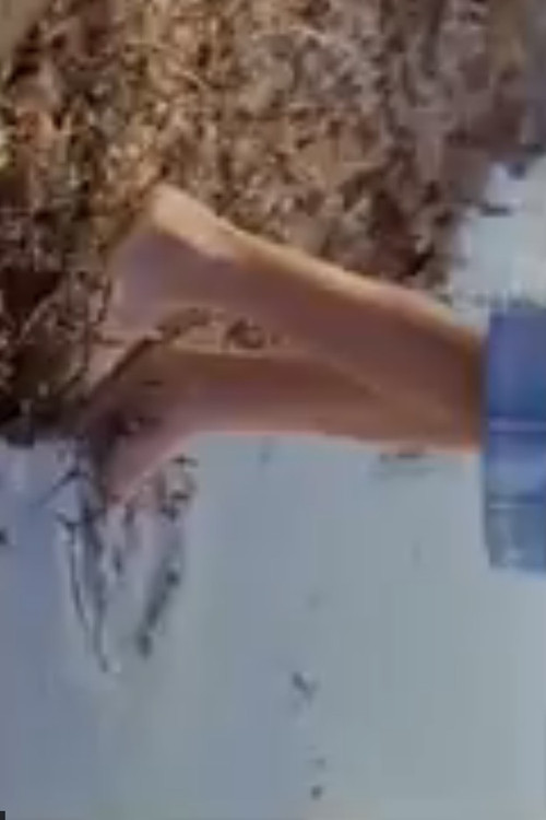 Six and a Half (2009) poster