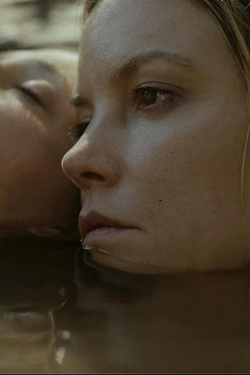 Magpie: One for Sorrow, Two for Joy (2025) poster