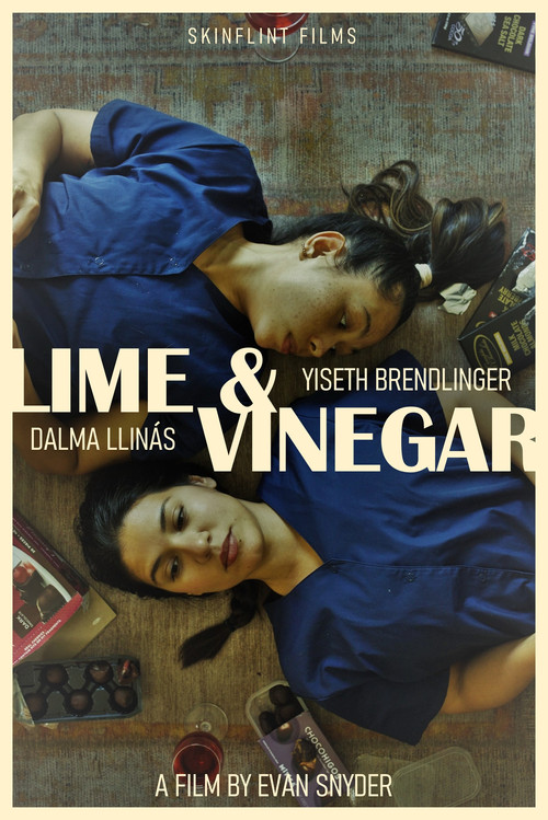 Lime & Vinegar (2024) poster