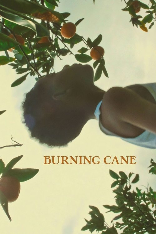 Burning Cane (2019) poster