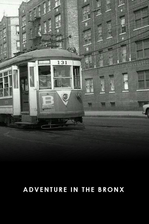 Adventure in the Bronx (1941) poster