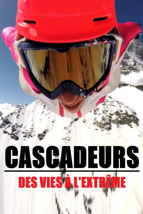 Cascadeurs, des vies à l'extrême (2017) poster