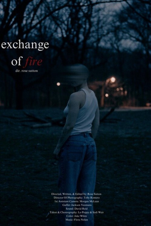 Exchange of Fire (2025) poster