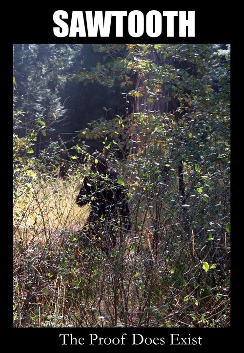 Sawtooth (2009) poster