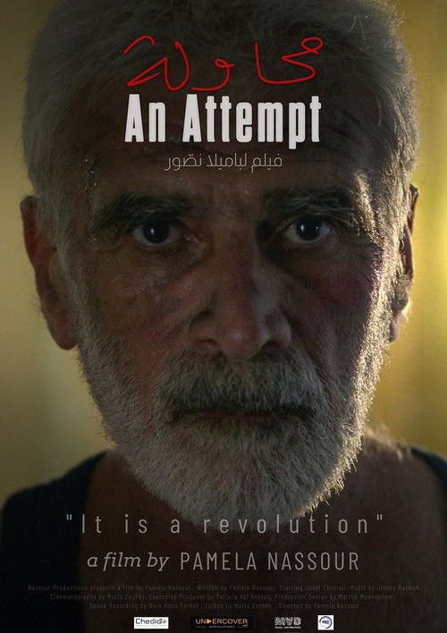 An Attempt (2021) poster