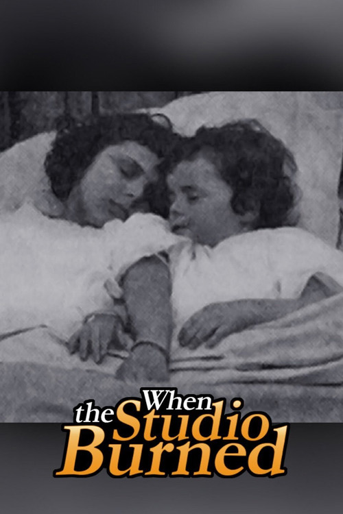 When the Studio Burned (1913) poster