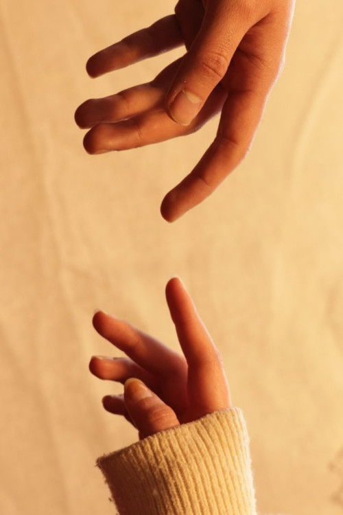 La Primavera Que Nos Faltó (2024) poster