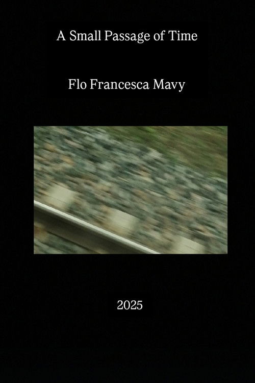 A Small Passage of Time (2025) poster