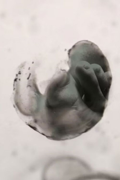 Recollection (2014) poster