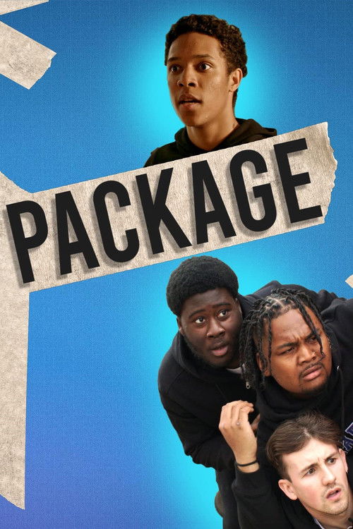 Package (2023) poster