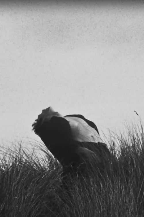 Anders (2025) poster