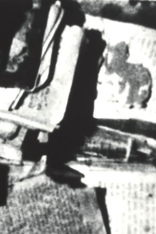 genizah; passages from the lublin book graveyard (2018) poster