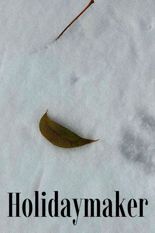 Holidaymaker (2025) poster