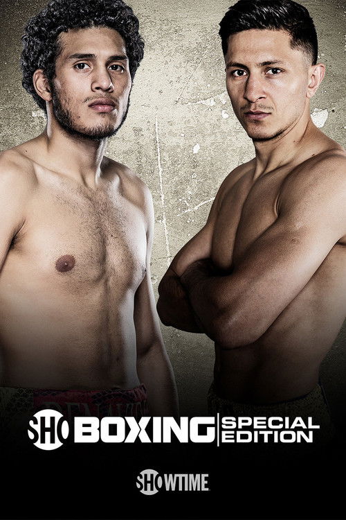 David Benavidez vs. Ronald Gavril (2017) poster