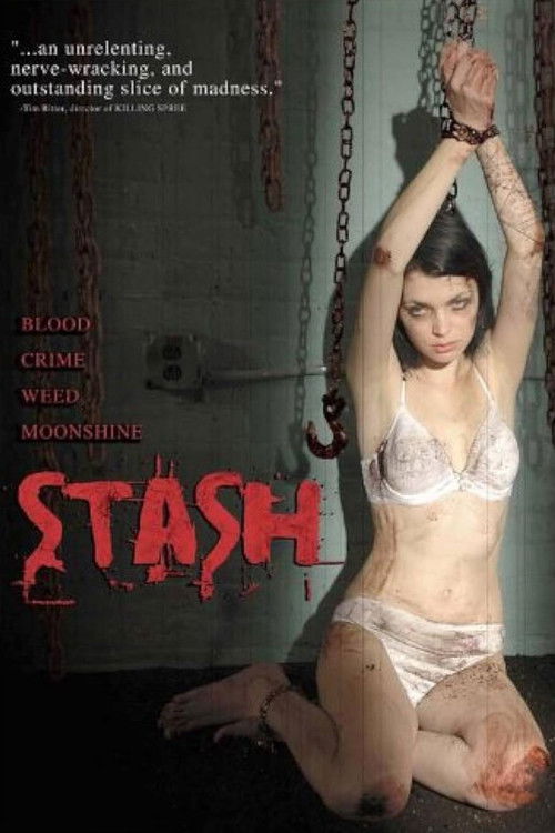 Stash (2007) poster