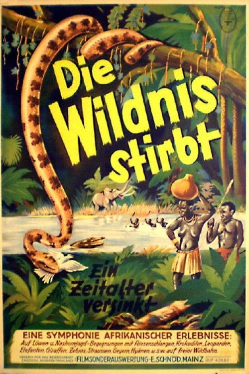 Die Wildnis stirbt! (1936) poster