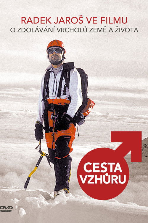 Cesta vzhůru (2015) poster