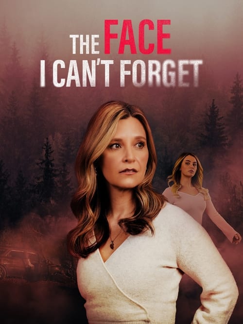 The Face I Can't Forget (2024) poster