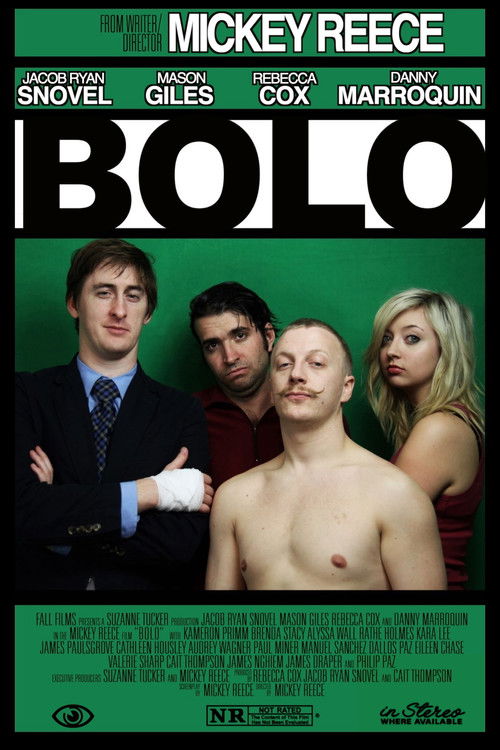 Bolo (2013) poster