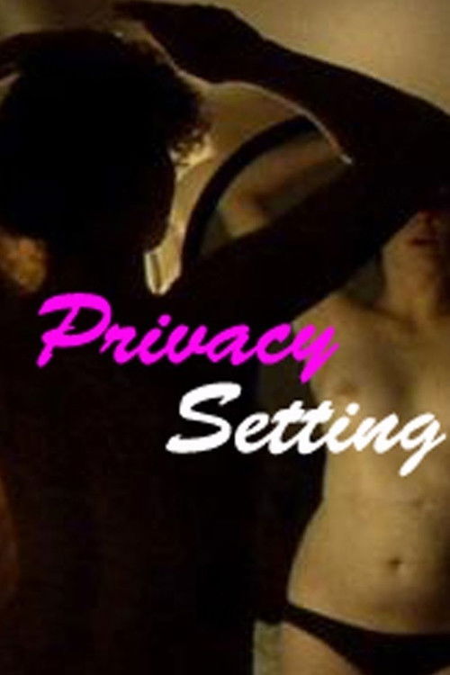 Privacy Settings (2013) poster
