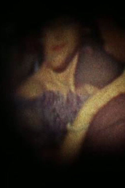 In Focus Memories (2010) poster