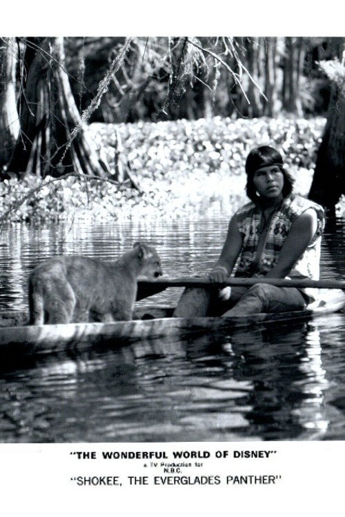 Shokee, the Everglades Panther (1974) poster