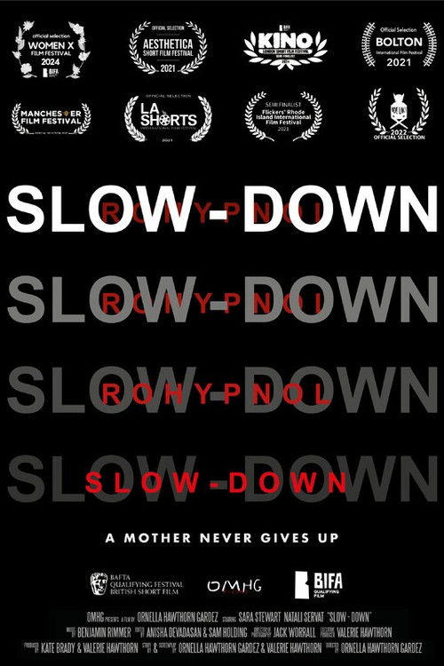 Slow-Down poster