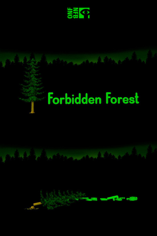 Forbidden Forest (2004) poster