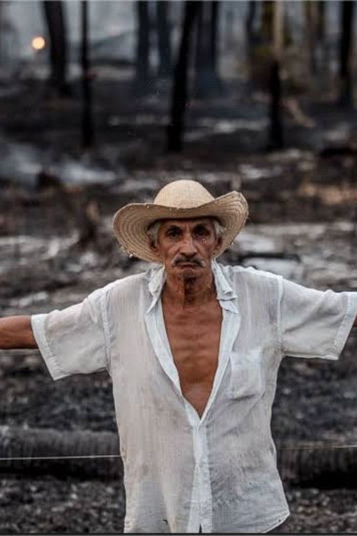 O Itinerário de Cicatrizes (2023) poster