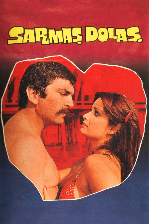 Sarmaş Dolaş (1977) poster