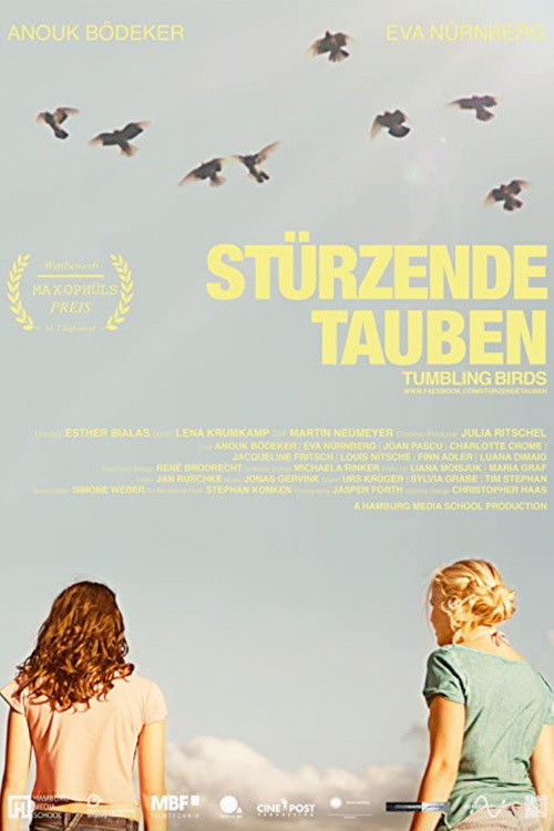 Tumbling Birds (2013) poster