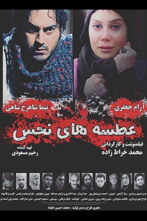 عطسه های نحس (2011) poster