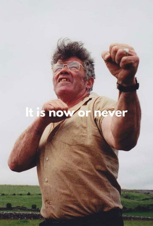 It's Now or Never (1996) poster