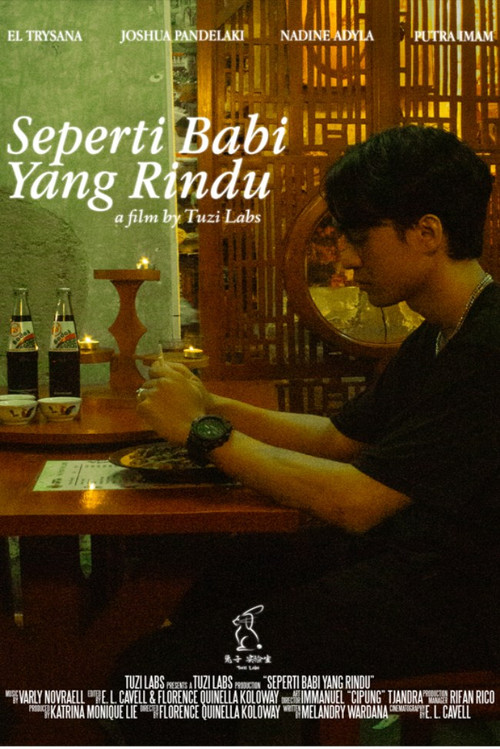 The Longing of a Pig poster