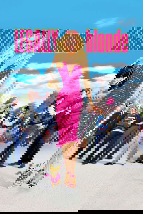 Bu Nasıl Sarışın (2001) poster