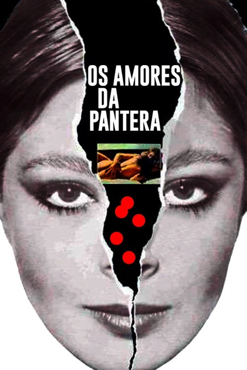 Os Amores da Pantera (1977) poster