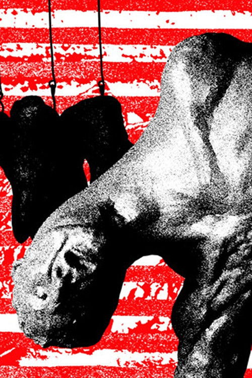 The Master of the Swamps (2023) poster