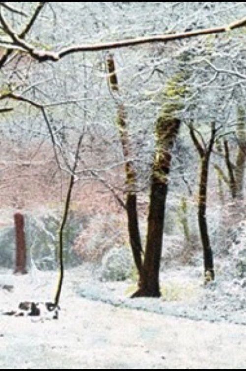 In the Nature of Things (2011) poster