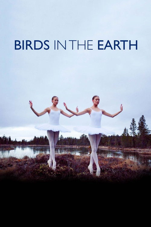 Birds in the Earth (2018) poster