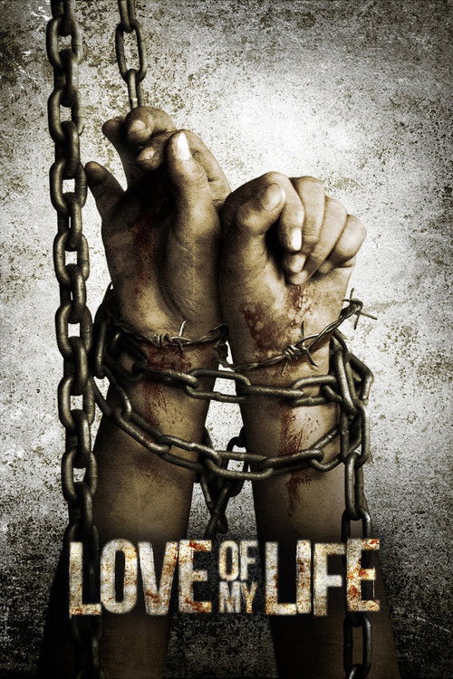 Love of My Life (2013) poster