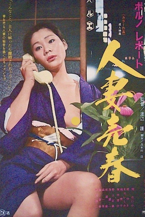 Porno report: Hitozuma baishun (1976) poster